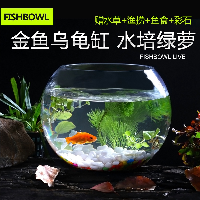 玻璃魚缸客廳小型家用金魚烏龜缸水陸缸迷你龜缸辦公室桌面水族箱