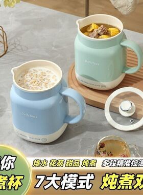 小型炖煮杯迷你小煮杯多功能养生