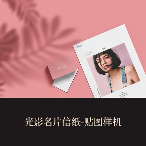 高端提案利器优质PSD光影名片信纸VI样机素材模板logo智能贴图