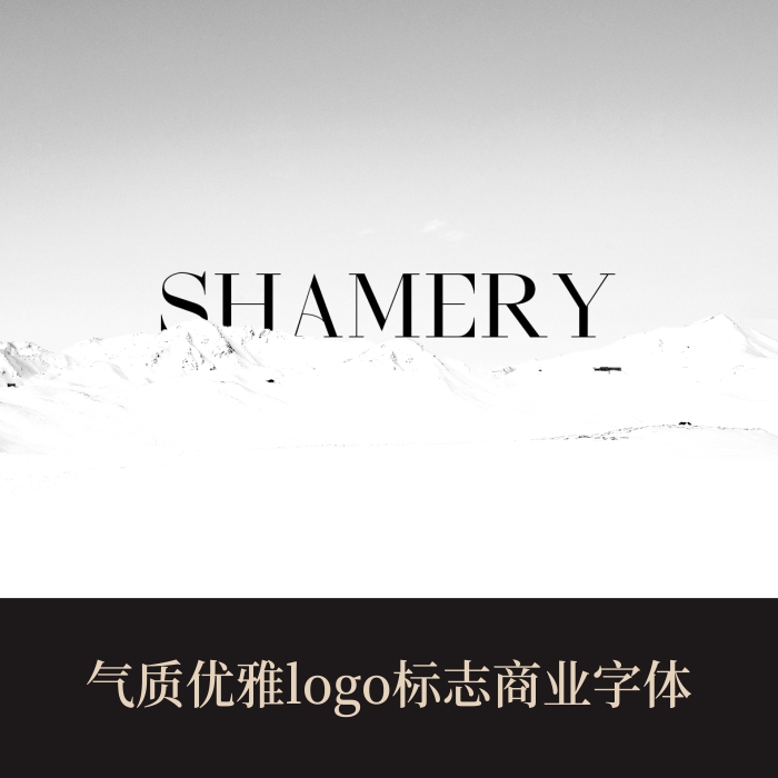 高端时尚优雅大气英文字体一键生成奢侈品logo标志平面设计素材