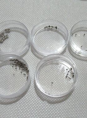 手表配件 零件SW200 220 240大 小钢轮 自动锤主夹板 日历 螺丝