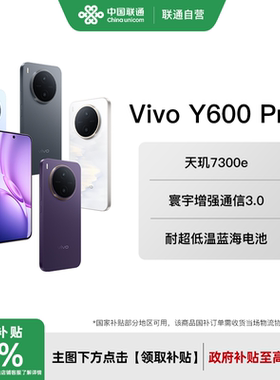 vivoY600Pro2K大电池手机
