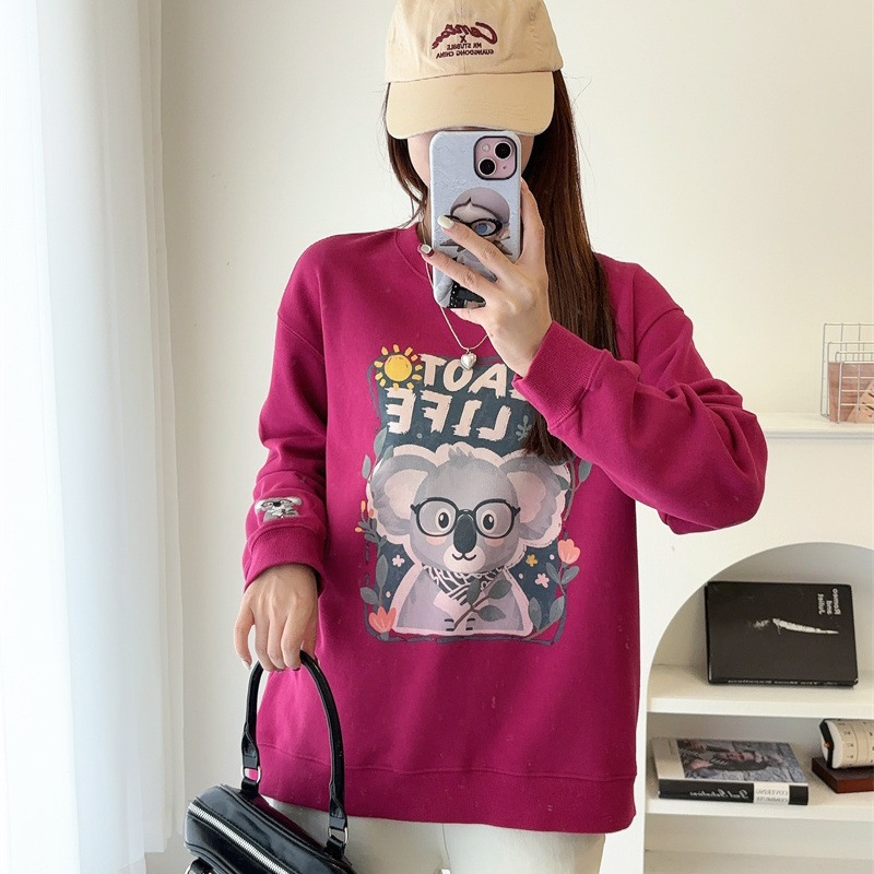 Biaotlife加厚毛圈棉套头卫衣