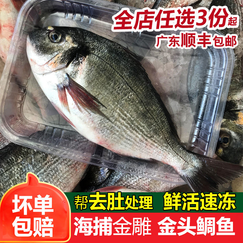 金雕鱼,一条一斤左右
