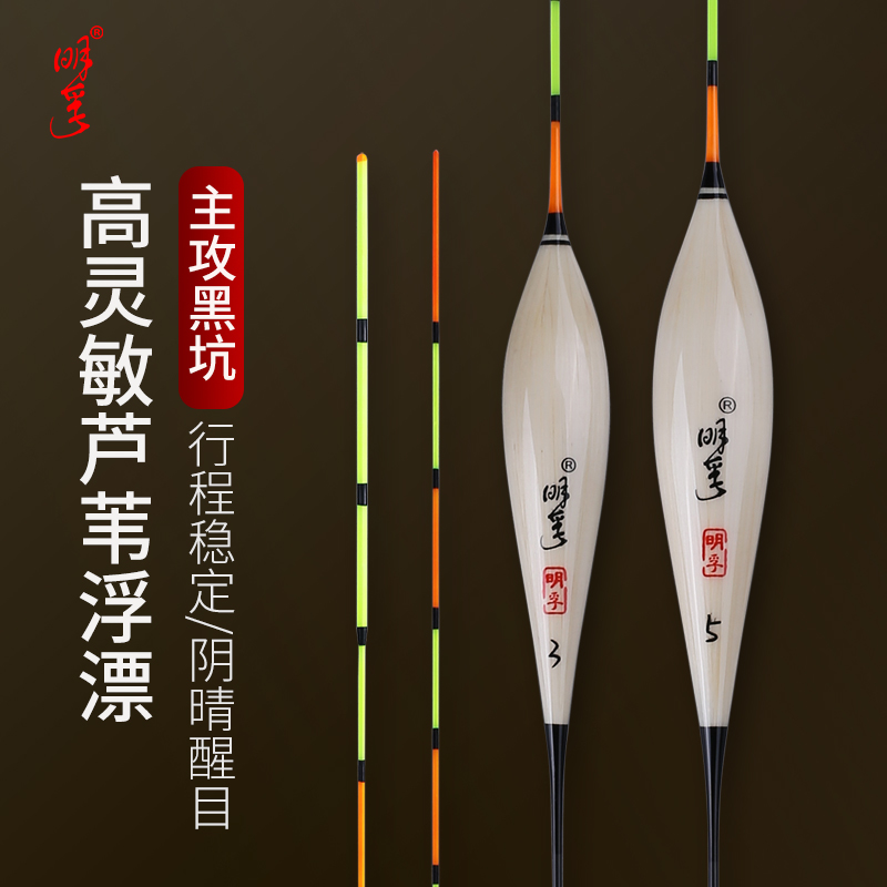 明孚高灵敏芦苇浮漂黑坑混养漂