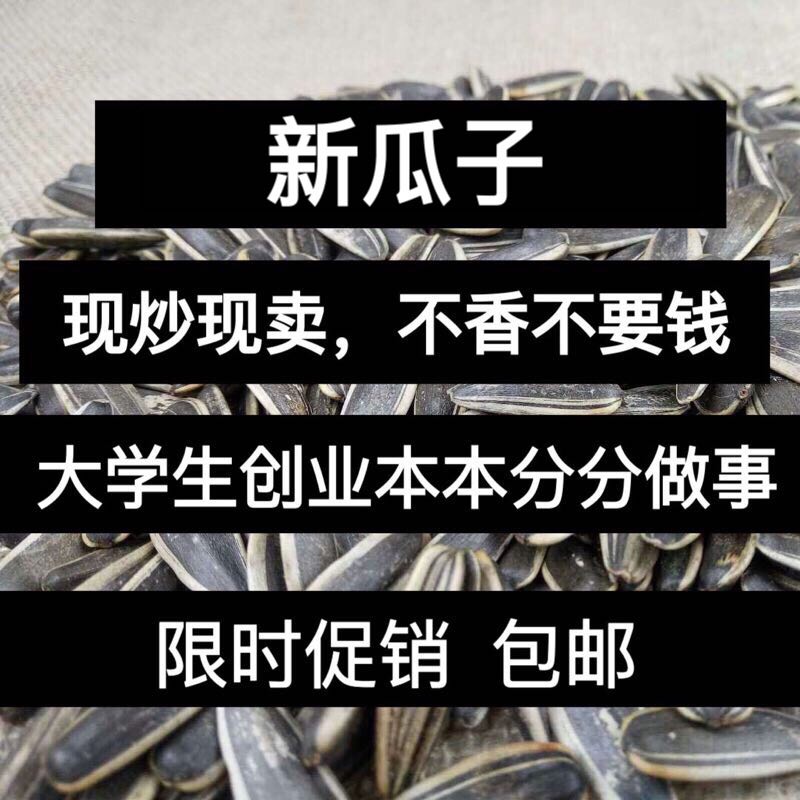 黑龙江原味瓜子363黑瓜子东北大瓜子现炒东北瓜子 新瓜子1000g