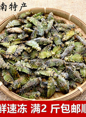 云南特产新鲜水蜻蜓冷冻水虿幼虫冷冻水蝎子宽蜻蜓烧烤昆虫食材