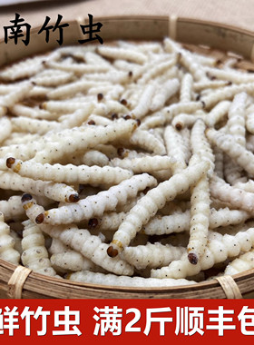 云南特产野生竹虫鲜新冷冻冰冻竹蛹竹节虫满2斤顺丰包邮500克带冰