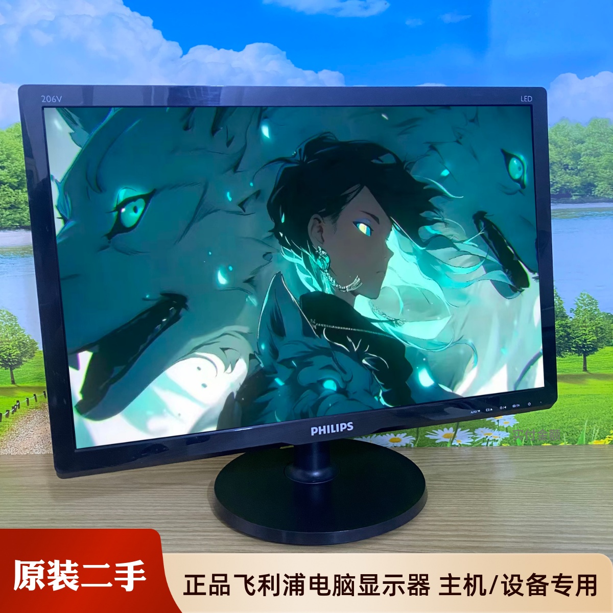 原装飞利浦电脑显示器19.5寸206V6Q设备监控壁挂台式高清ips屏幕