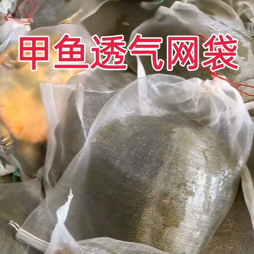 装甲鱼专用网袋装一只甲鱼乌龟水产网兜加密加厚结实透气尼龙网袋