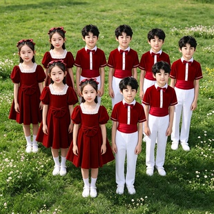 六一儿童大合唱服演出服小学生男女童诗歌朗诵服舞蹈裙表演服装