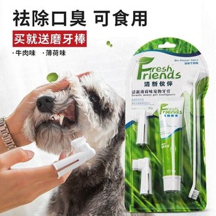 pet set edible dog toothbrush Dog toothpaste