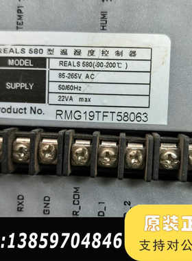 瑞尔斯REALS580温湿度控制器，型号REALS580(-议价
