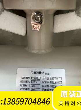 无锡亭尼电磁流量计，型号LS92707，公称通径DN65，额议价