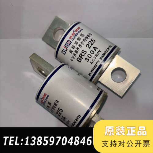 旋转熔断器BRS225 300A380V  CZ225 38议价
