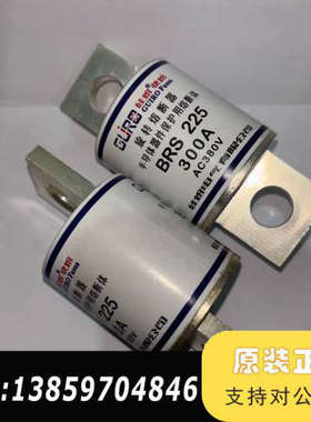 旋转熔断器BRS225 300A380V  CZ225 38议价