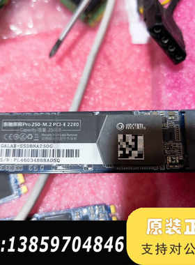 影驰黑将Pro 250G固态硬盘，M.2接口PCI-E 22议价