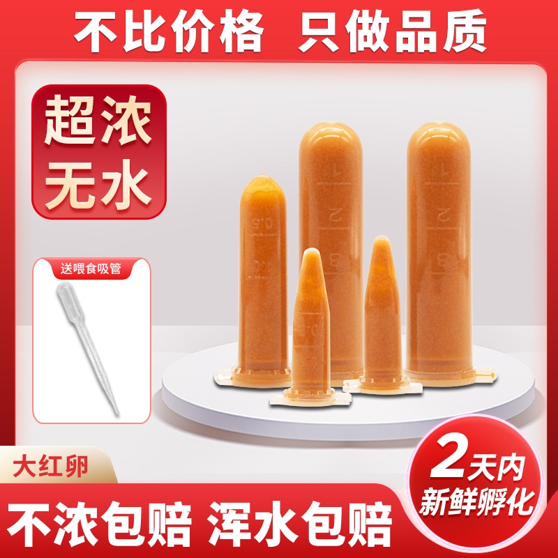 丰年虾卵卤幼虫免孵化大红卵超细卵冷冻冰冻饲料小幼型鱼苗开口粮