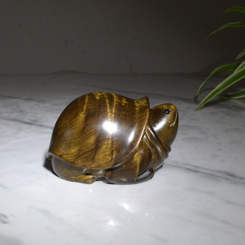 金丝楠木小乌龟文玩手把件小摆件