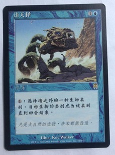 英 MTG 启示录 上海文波 实拍 简中 金牌 金 蓝色 违天择 万智牌