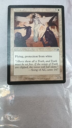 万智牌 Voice of Truth 真理使者 宿敌 英文 白 银 实拍 文波 MTG