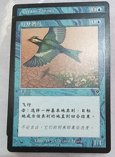 万智牌 幻梦鹩鸟  Dream Thrush 大战役 普 蓝 简中实拍 文波 MTG