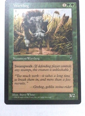 万智牌 疣猪 憧憬 绿色  英文 实拍【上海文波】 MTG