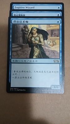 秒杀漂泊法术师 MTG万智牌  M2015 M15 简中 英 日文全新三张