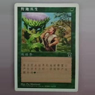 万智牌  野地丛生 第五版 普 铁 普牌 绿 简中 实拍 上海文波 MTG