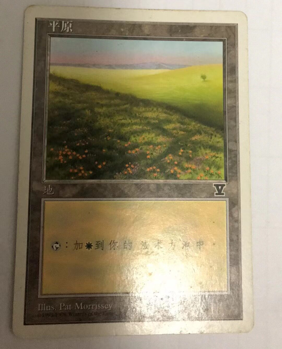 万智牌 平原 第五版 普 铁 地 基本地 简中 实拍【上海文波】mtg4