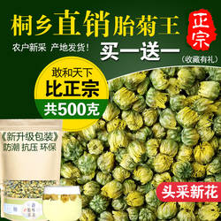 菊花茶桐乡胎菊王头采特产级正宗杭白菊贡菊花茶500g散装新花茶叶