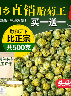 菊花茶桐乡胎菊王头采特产级正宗杭白菊贡菊花茶500g散装新花茶叶
