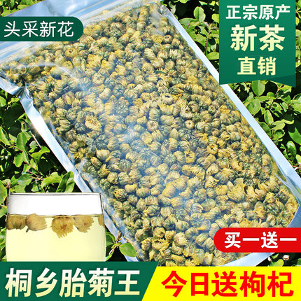 菊花茶正宗头采桐乡胎菊王250g特产级杭白菊枸杞菊花茶冲泡茶新花