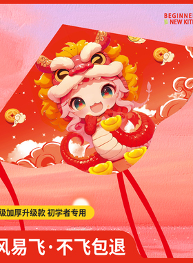 风筝儿童微风易飞2025蛇年新款小孩专用玩具潍坊卡通凤争高档大人