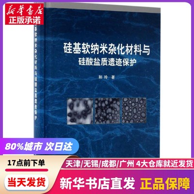 硅基软纳米杂化材料与硅酸盐质遗迹保护 科学出版社 新华书店正版书籍