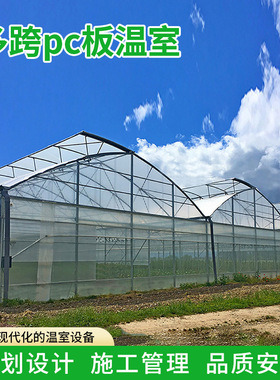 厂家直销多跨PC板温室大棚纹络式日光温室生态餐厅采光种植大棚