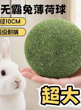 兔子磨牙薄荷球耐啃咬解闷玩具