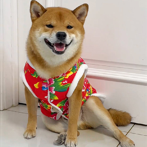 大中小型狗狗衣服东北大花袄冬季