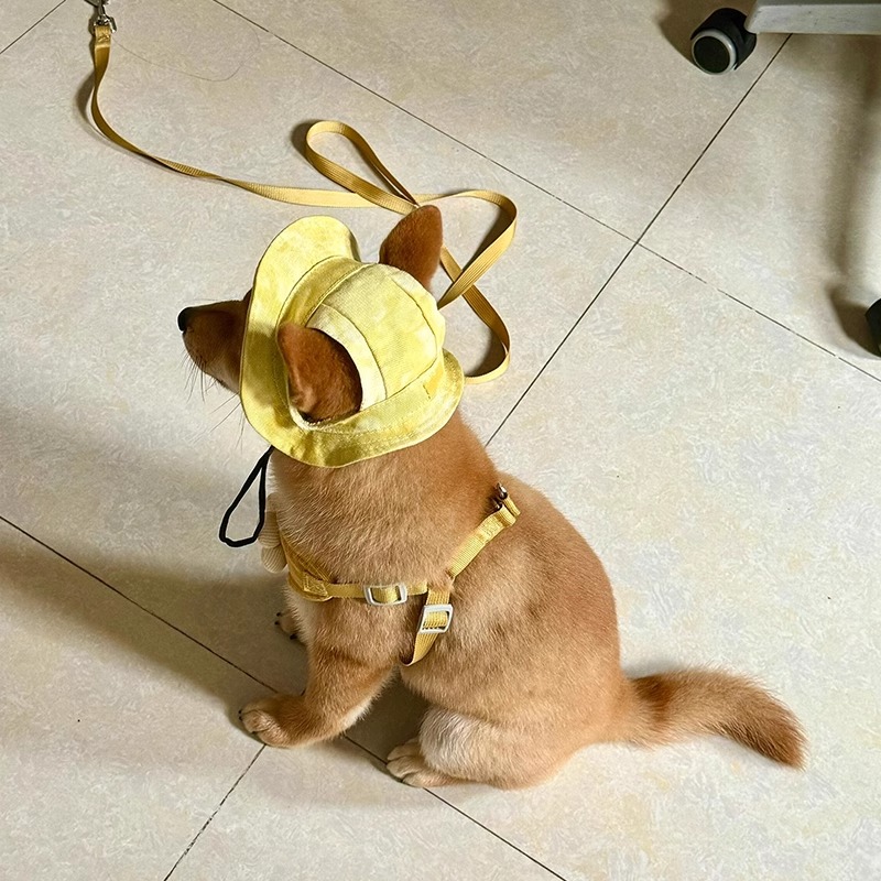 狗狗帽子夏季遮阳渔夫帽漏耳朵