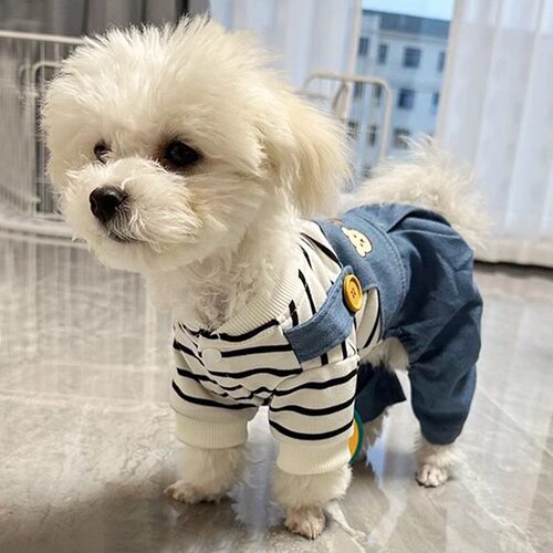 狗狗衣服春夏季薄款小熊四脚衣