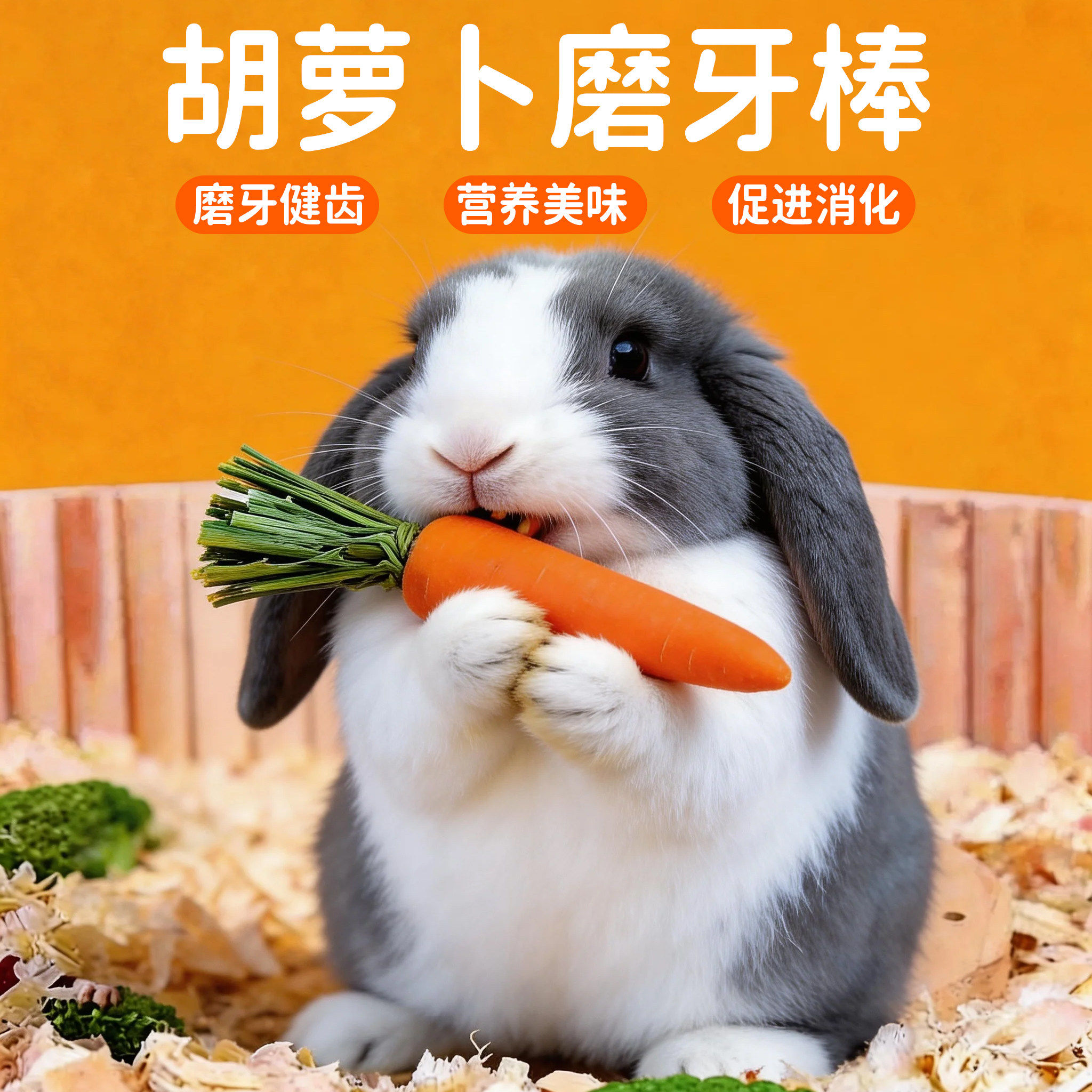 兔子磨牙棒胡萝卜仓鼠荷兰猪零食