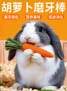 兔子磨牙棒胡萝卜仓鼠荷兰猪兔兔零食豚鼠侏儒兔专用磨牙神器解闷