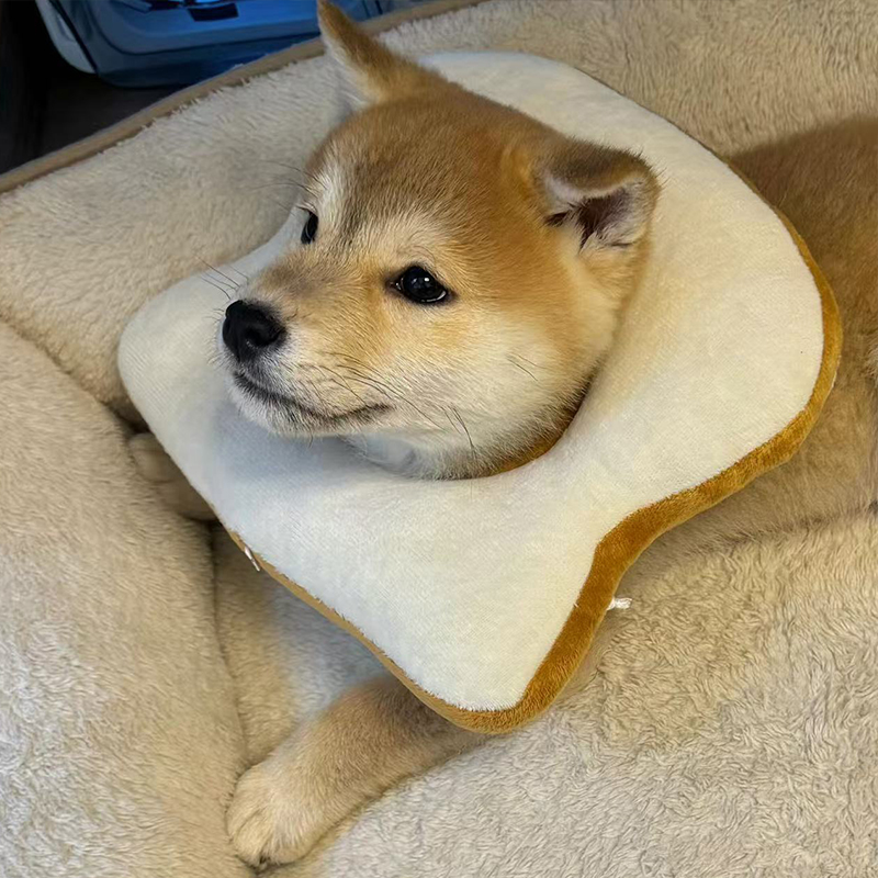 狗狗宠物项圈伊丽莎白圈猫咪防舔