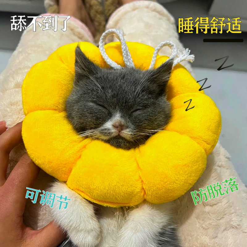 伊丽莎白圈猫咪绝育防舔防咬脖圈
