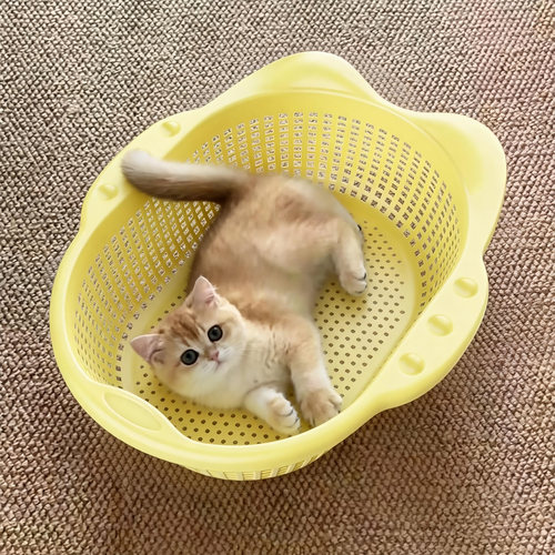 宠物菜篮子猫窝夏季透气猫床降温