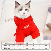 Sup Sweater [красный] два фута