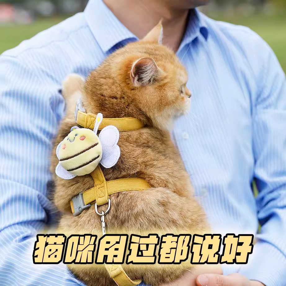猫咪牵引绳防挣脱遛猫外出专用