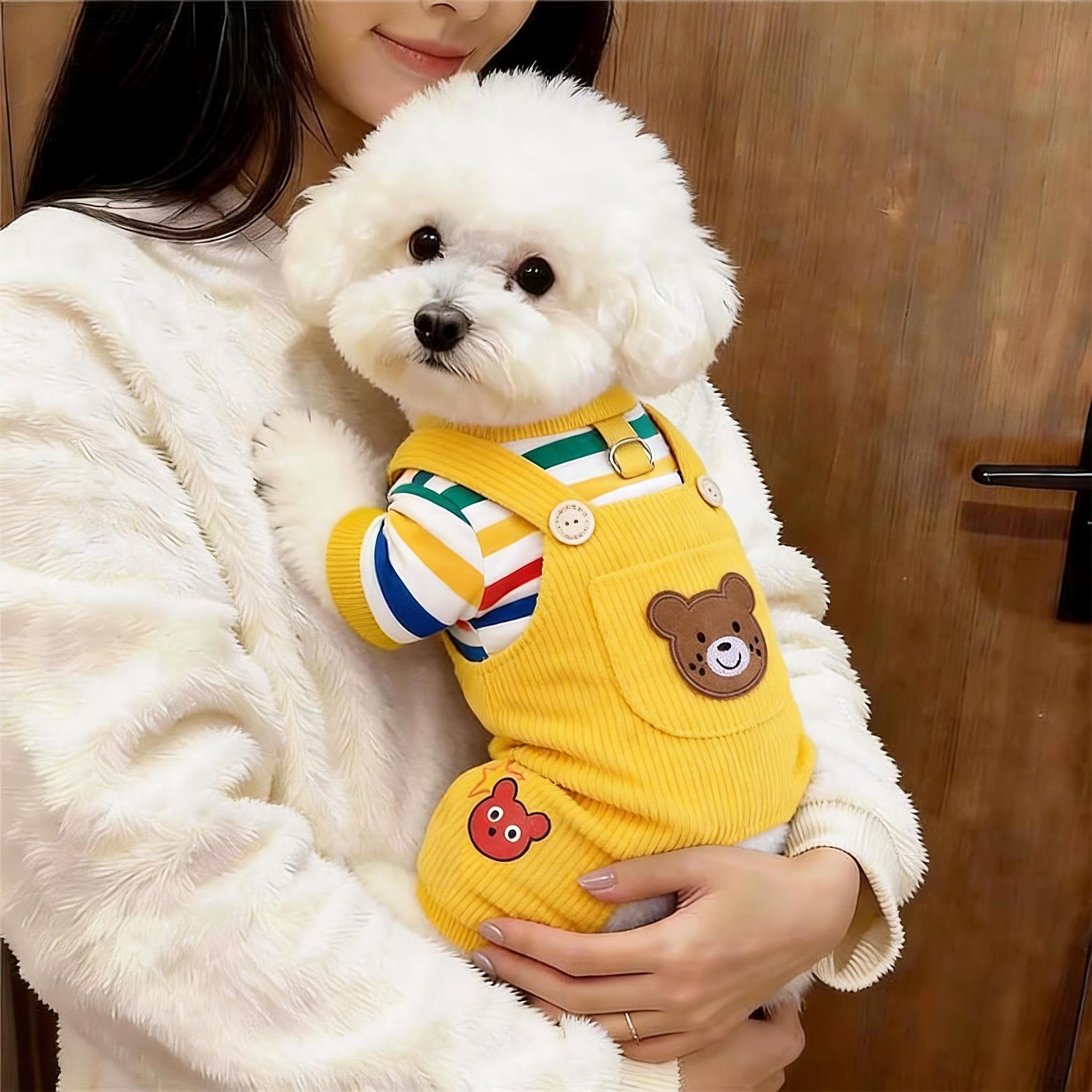 狗狗衣服春秋款宠物比熊泰迪雪纳图片