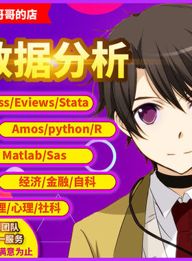 代做spss/eviews/stata/Matlab/python/R语言等数据分析
