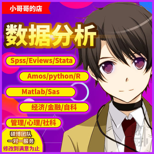 代做spss/eviews/stata/Matlab/python/R语言等数据分析
